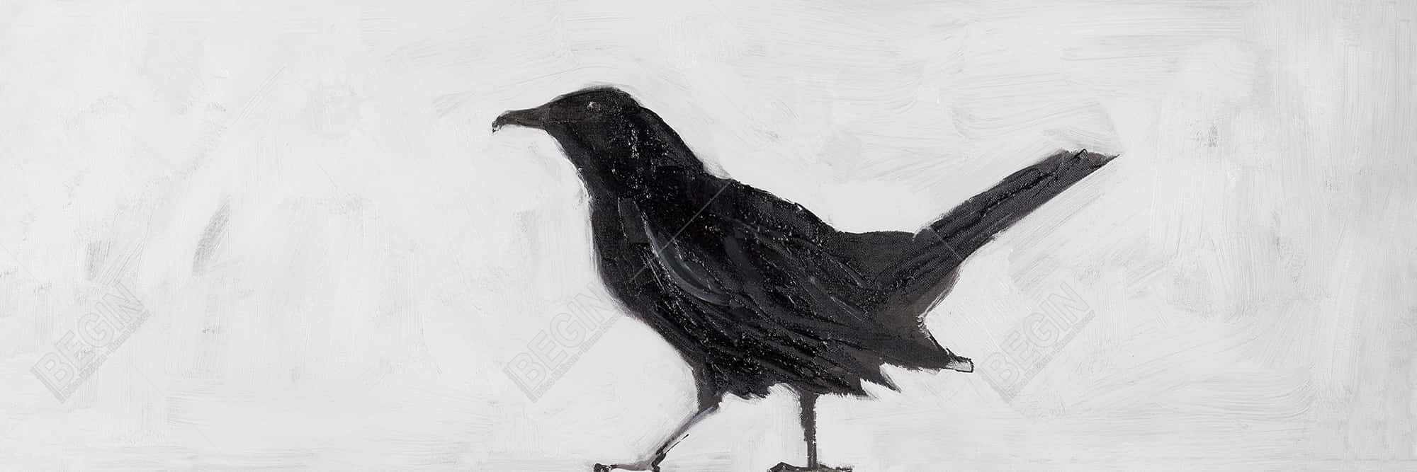 Lonely crow