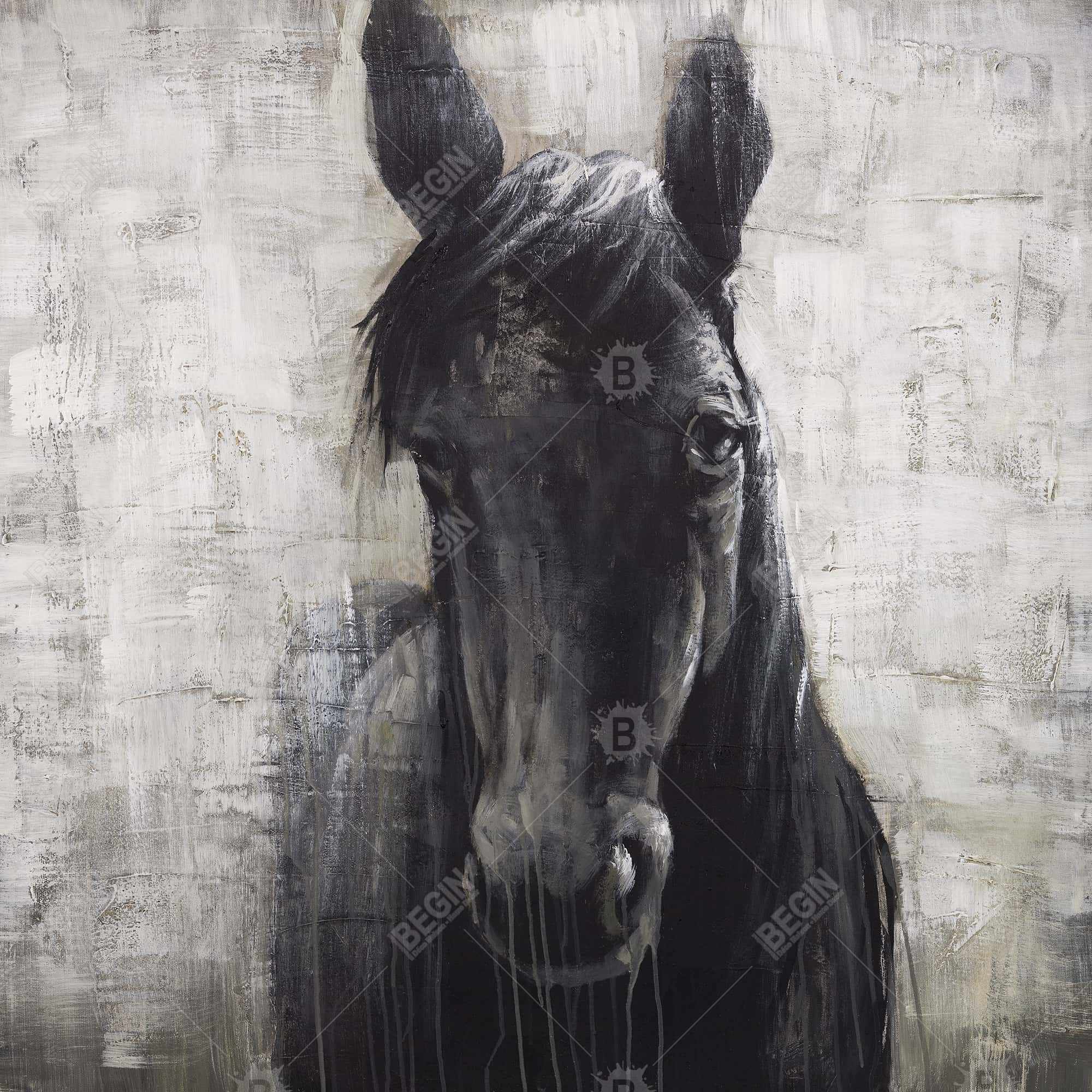 Black horse