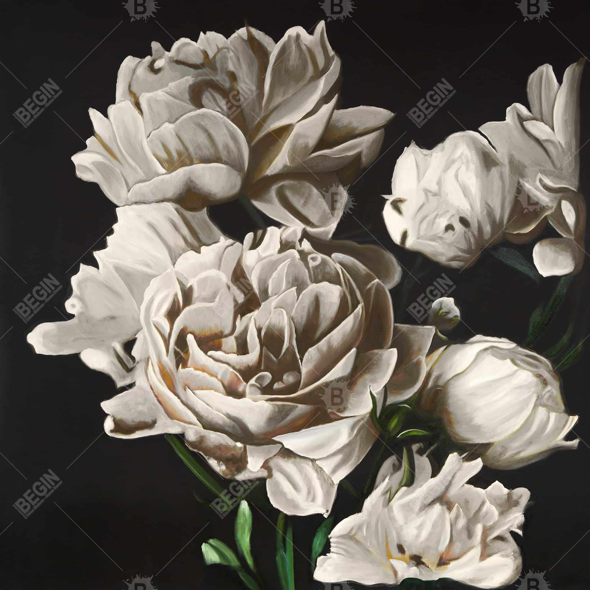 Pivoines beige