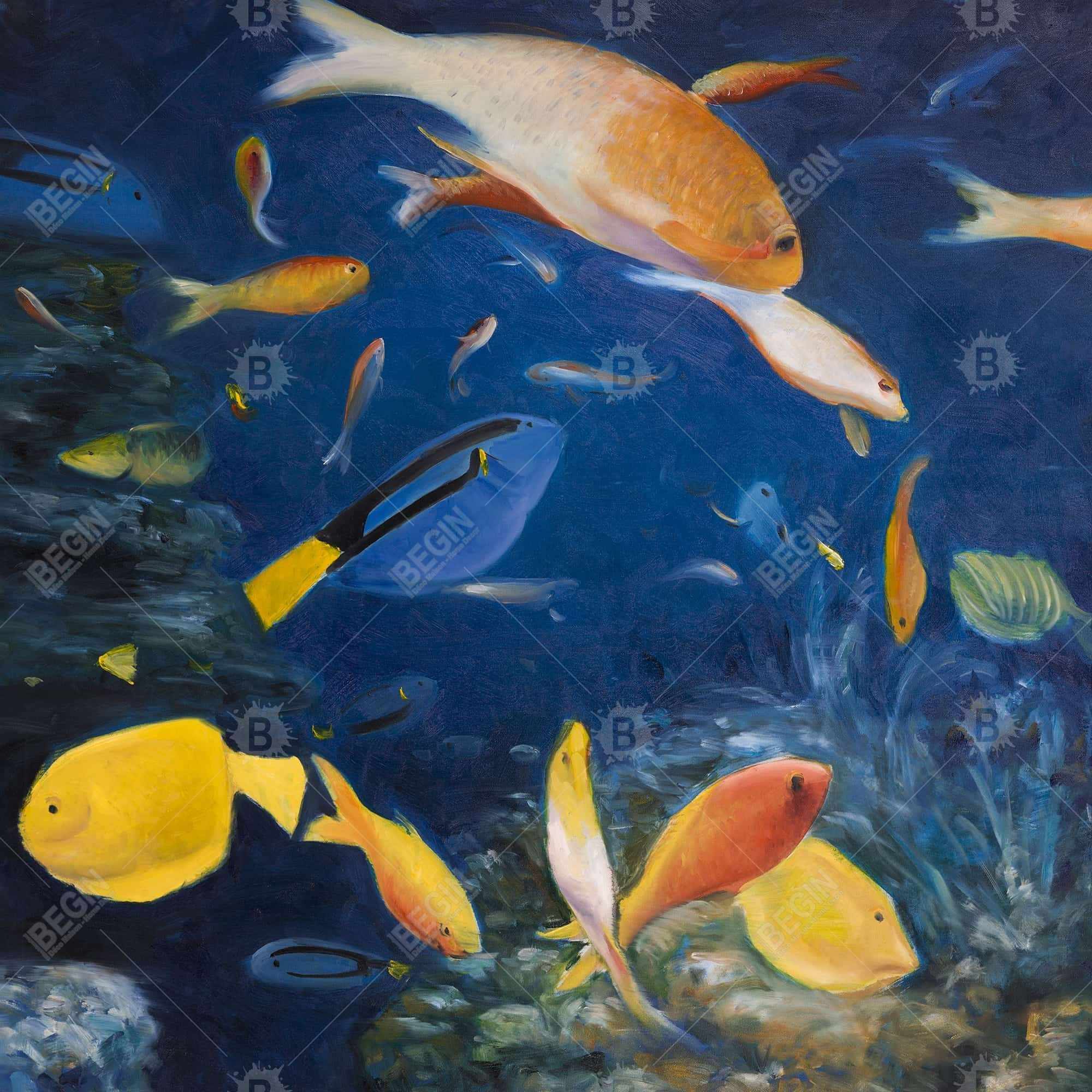 Poissons colorés sous l'océan
