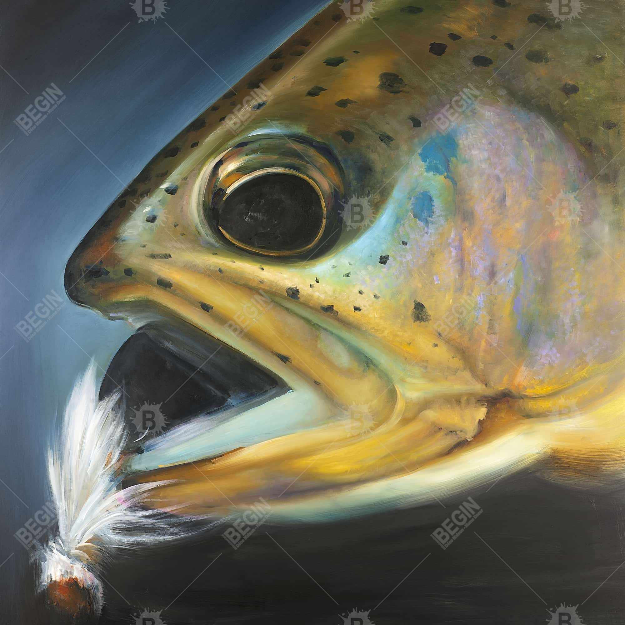 Golden trout with fly fishing flie